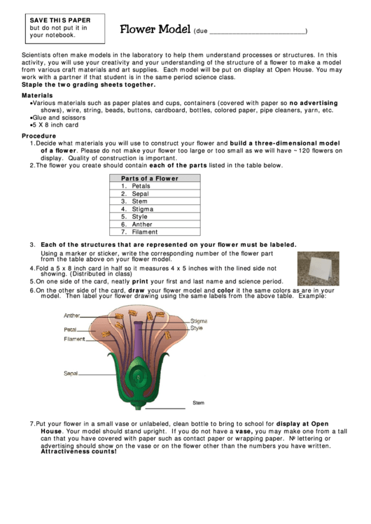 Flower Model Printable pdf