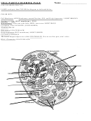 Cell Parts Coloring Page Printable pdf