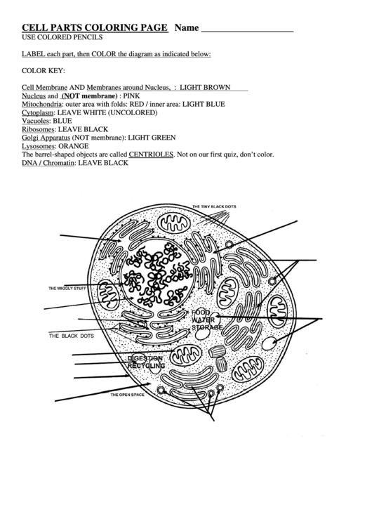 Cell Parts Coloring Page