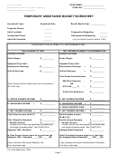 Temporary Assistance Budget Worksheet Template Printable pdf