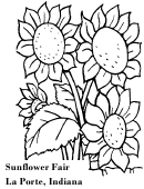Coloring Contest For Kids