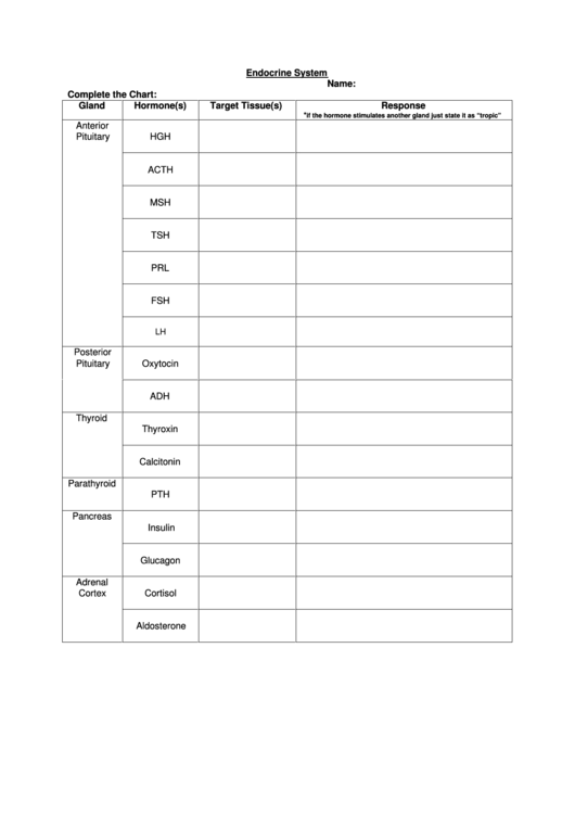 Endocrine System Chart Printable pdf