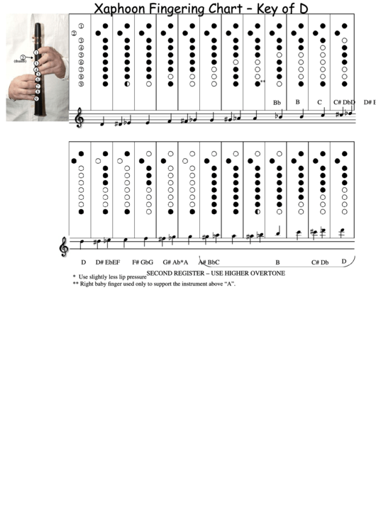 Xaphoon Fingering Chart - Key Of D Printable pdf