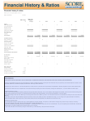 Financial History And Budget Ratios Template