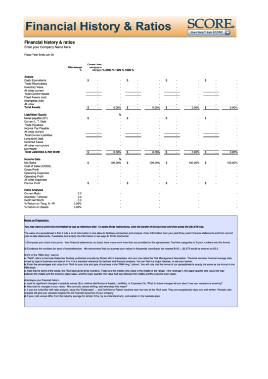 Financial History And Budget Ratios Template Printable pdf