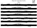 Major & Chromatic Scales - Flute