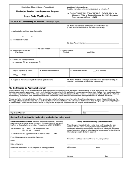 Loan Data Verification Form Printable pdf