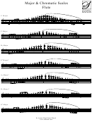 Major & Chromatic Scales Flute