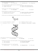 Biology Dna Questions Printable pdf