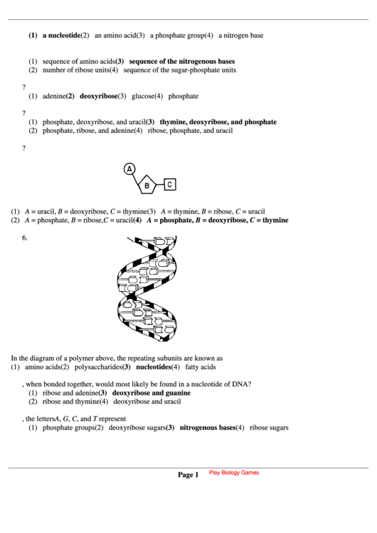 Biology Dna Questions Printable pdf