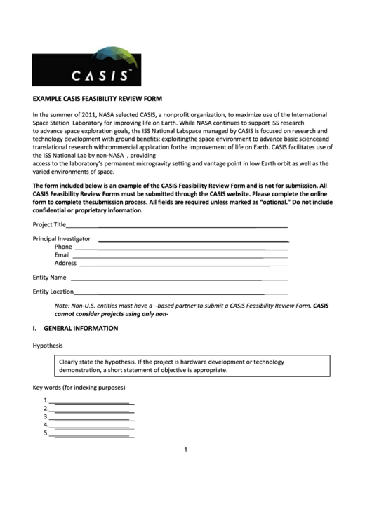 Example Casis Feasibility Review Form Printable pdf