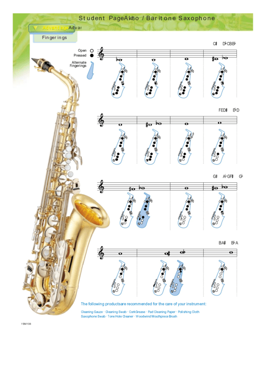 Alto / Baritone Saxophone Printable pdf
