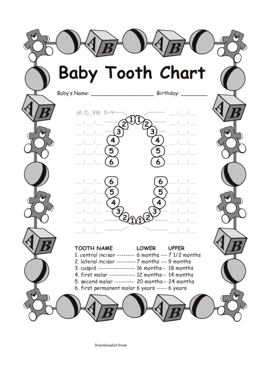 Baby Tooth Chart Printable pdf