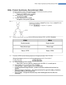 Dna Protein Synthesis Recombinant Dna Test Printable pdf