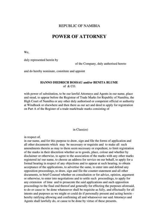 Power Of Attorney Printable pdf
