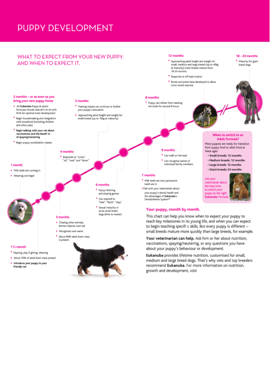 Puppy Development Printable pdf