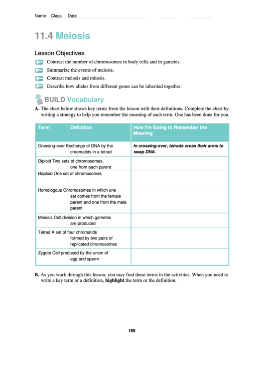 Meiosis Lesson Plan Printable pdf