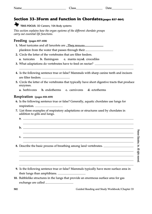 Fillable Form And Function In Chordates Worksheet Printable pdf