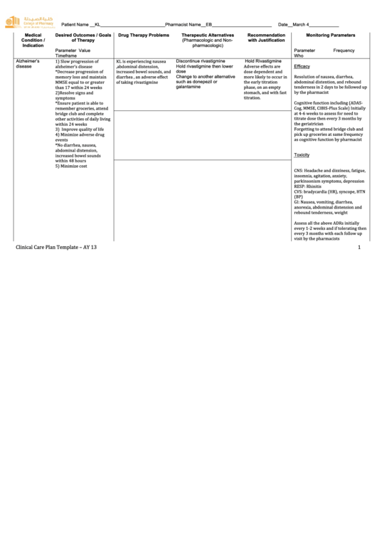 Sample Completed Care Plan Printable pdf