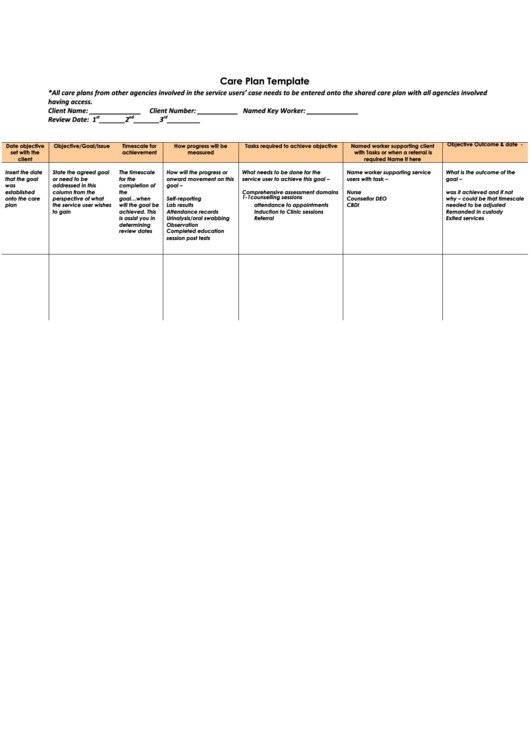 Care Plan Template Printable pdf