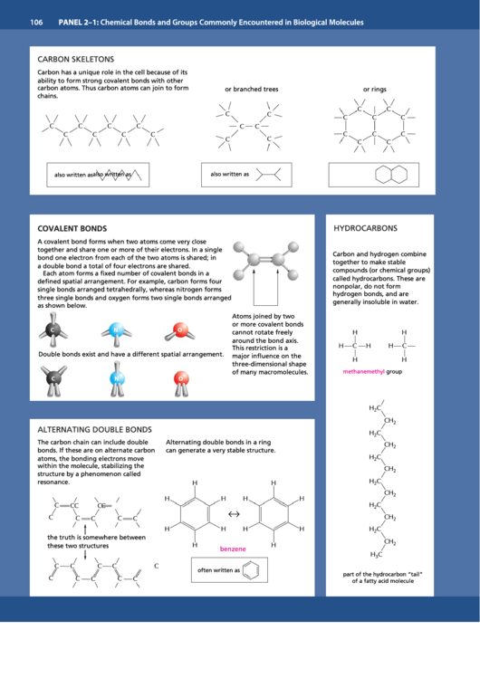 Chemical Bonds And Groups In Biological Molecules Reference Sheet Printable pdf