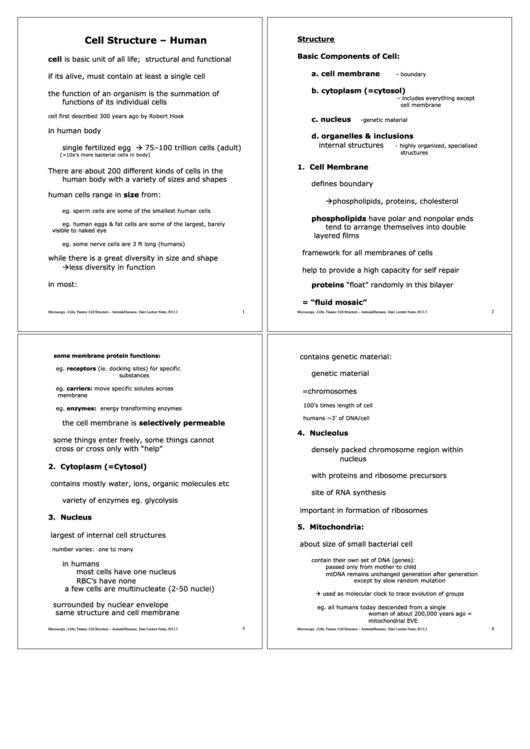 Cell Structure Biology Sheet Printable pdf