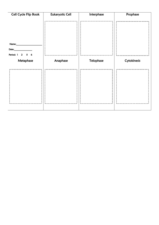 Cell Cycle Mitosis Flip Book Template - Cobb Learning Printable pdf
