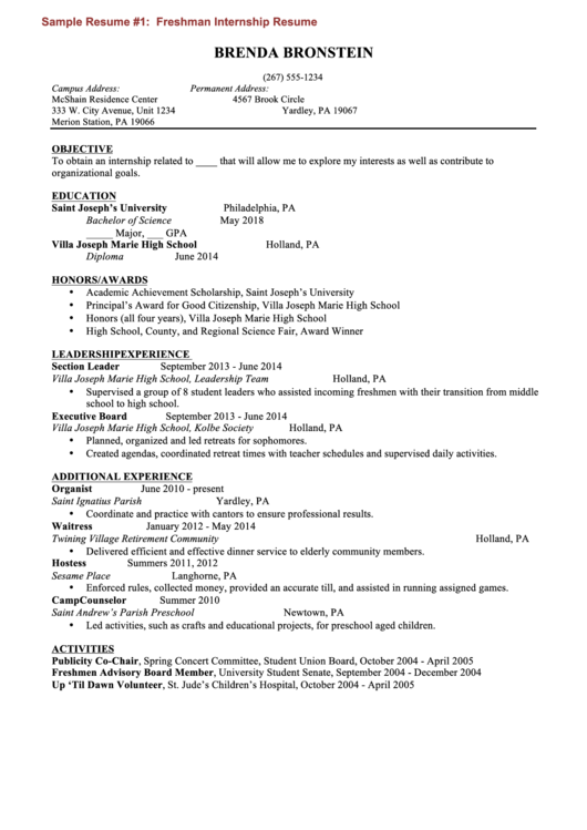 Freshman Internship Resume Printable pdf
