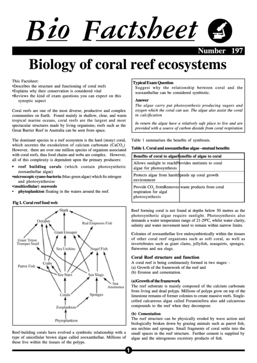 Biology Of Coral Reef Ecosystems Worksheet Printable pdf