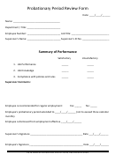 Probationary Period Review Form