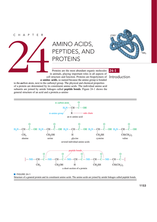Amino Acids Peptides And Proteins Printable pdf