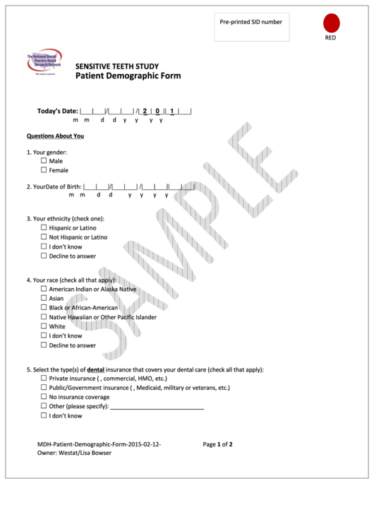 Patient Demographic Form Printable pdf