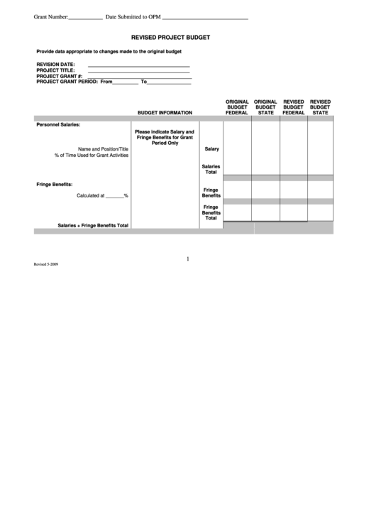 Revised Project Budget Template