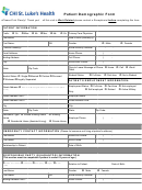 Patient Demographic Form Printable pdf