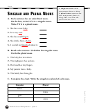 Singular And Plural Noun Worksheet