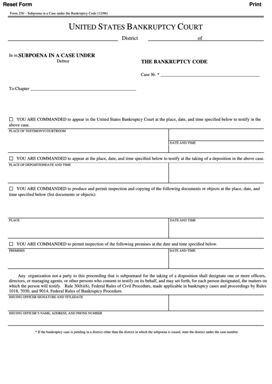 Fillable Form 256 - Subpoena In A Case Under The Bankruptcy Code Printable pdf