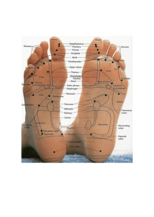 Reflexology Foot Chart Printable pdf