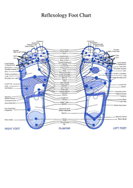 Reflexology Foot Chart Printable pdf