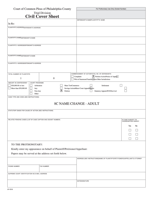 Fillable Civil Cover Sheet Printable pdf