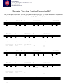 Chromatic Fingering Chart For Euphonium B.c