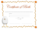 Birth Certificate Template - Orange