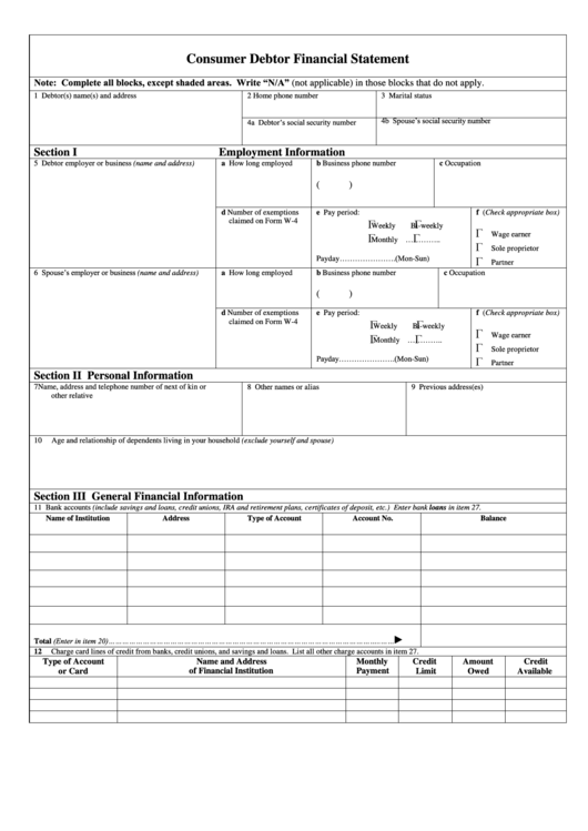 Consumer Debtor Financial Statement Template Printable pdf