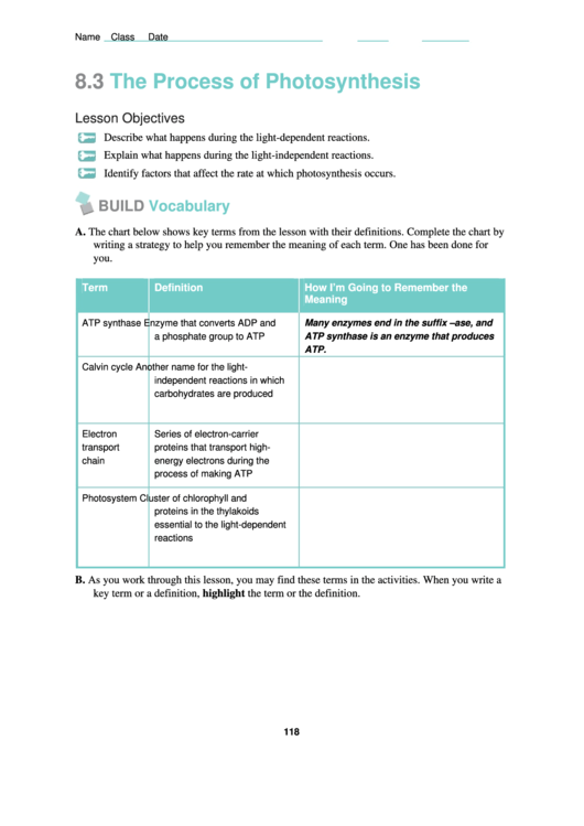 The Process Of Photosynthesis Worksheet Printable pdf