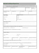 Individual Credit Report Request Form