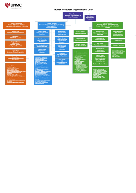 Human Resources Organizational Chart Printable pdf