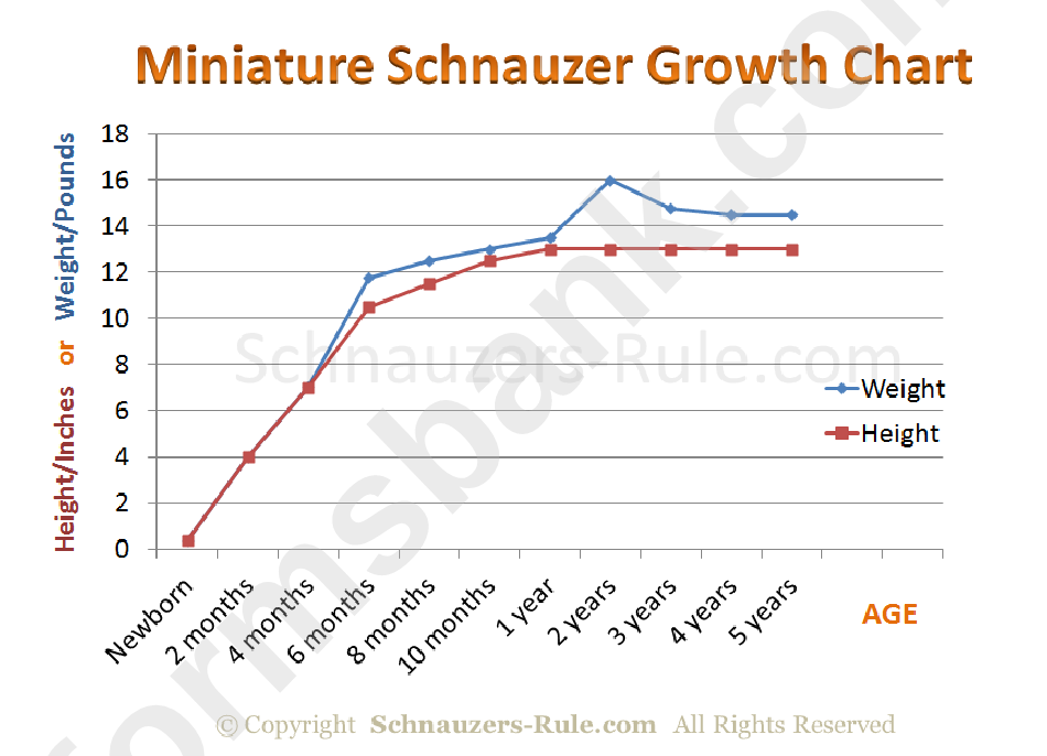 Miniature Schnauzer Puppy Growth Rate Chart