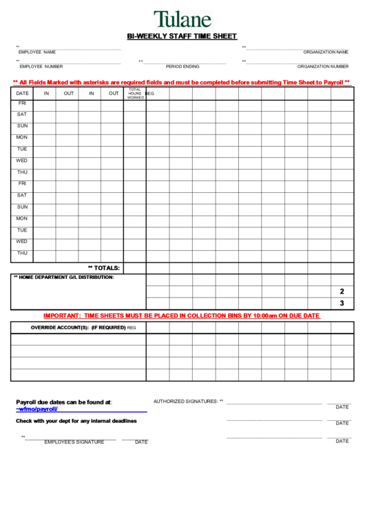 Tulane Bi Weekly Staff Time Sheet Printable pdf