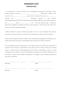 Promissory Note Template (interest Only)