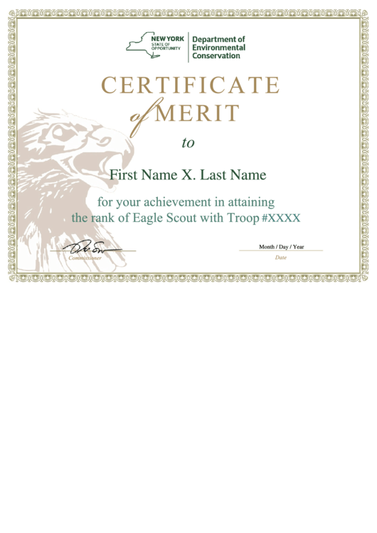 Fillable Certificate Of Merit Printable pdf