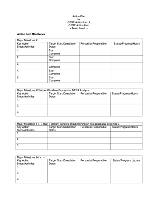 Sample Action Plan Template Printable pdf
